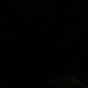 Meet your Posher, Maddie